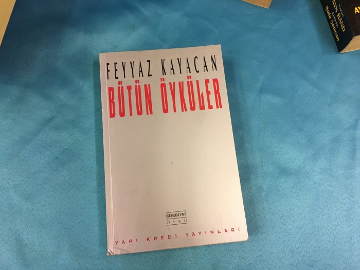 Feyyaz Kayacan Bütün Öyküler